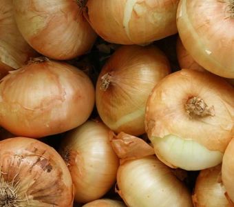 White onion