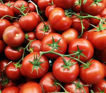Bio Tomate