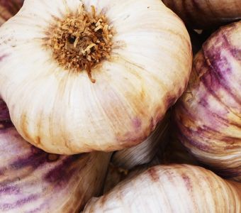 Knoblauch